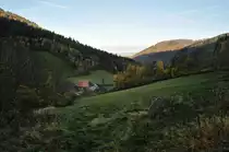 Elzach - Yach - Richtung Siebenfelsen - Schwarzwald.08.11.2014