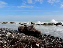Am Ostseestrand, entlang der Kreidefelsen, im Nationalpark Jasmund, wird so manches angeschwemmt; 140923