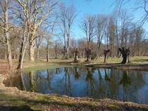 Umringt von Weidenbäumen ein Teich im Schloßpark Pansevitz am 08.März 2015.