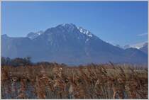 Frühjahrsstimmung im Naturschutzgebiet La Grangettes mit Blick auf den Grammont 
(2172 m.ü.M.).
(10.03.2015)