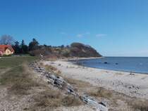 Das Südpferd am Strand von Thiessow am 03.April 2015.