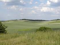  Schwedt/Oder
aus Richtung Briesensee bei Zützen August 2002