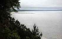 Biała Góra.

Woliński Park Narodowy - Nationalpark Wollin.

Aufnahmedatum: 22. Mai 2015