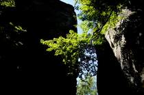 Sächsische Schweiz - Bastelgebiet bei Kurort Rathen.

Aufnahmedatum: 7. Juni 2014.