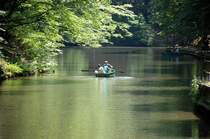 Nationalpark Sächsische Schweiz.

Aufnahmedatum: 7. Juni 2014.