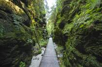 An den Schwedenlöcher im Nationalpark Sächsische Schweiz.

Aufnahmedatum: 7. Juni 2014.