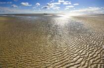 Wattwanderung von Pellworm nach Hallig Süderoog. Aufnahmedatum: 22. September 2012.