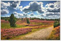 Das Heidetal, nähe Wilseder Berg, mit Blick auf den Stattberg bei Oberhaverbeck, Ende August 2012.