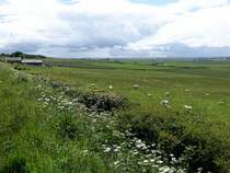 Highlands entlang der A9 von Thurso nach Wick (06.07.2015)