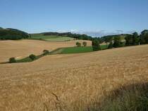 Highlands bei Luthrie (09.07.2015)