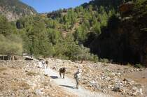 Die Samaria Schlucht auf Kreta. Aufnahmedatum: 12. Oktober 2012