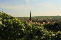 Blick auf Escherndorf am 12.09.2015.