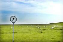 An der Deichkrone auf der Insel Mandø im dänischen Wattenmeer. Aufnahme: September 2006.