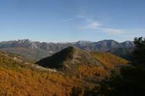 Ein Kastanienhain im Monti Picenti.