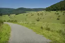 Wiesen und eine schmale asfaltierte Straße bei Bergdorf in Luxembourg.Aufnahme: August 2007.