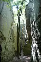 Die enge Roitzbach-Schlucht in La Petite Suisse (Kleine Luxemburger SChweiz). Aufnahme: August: 2007.