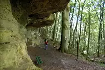 Am Wanderweg von Berdorf nach Waldbillig durch La Petite Suisse (Kleine Luxemburger Schweiz). Aufnahme: August 2007.