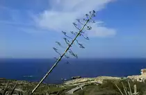 Blick über die Westküste von der Insel Gozo (Malta). Aufnahme: Oktober 2006.