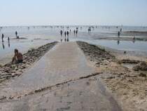 Ebbe am Nordseestrand von Bsum, Juli 2006