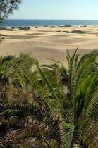 Blick auf die Dünen von Maspalomas, Gran Canaria. Aufnahme: Oktober 2009.