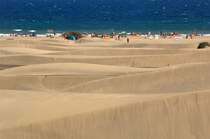 In den Dünen von Maspalomas, Gran Canaria. Aufnahme: Oktober 2009.