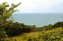 Blick auf Rennbaumhuk auf der Insel Hiddensee. Bad vom Dia. Aufnahme: August 2001.