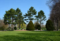 Schöne Baumbepflanzung in der Erftaue in Euskirchen - 11.04.2016