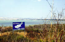 Larnaca Salt Lake auf Zypern. Bild vom Dia. Aufnahme: April 1995.