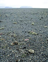 Typische isländische Vulkanlandschaft in der Nähe von Grindavik. Bold vom Dia. Aufnahme: August 1995.