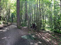 Impession aus dem Vigeland-Skulpturenpark oder Vigelandpark der sich  im Frognerpark in Oslo befindet am 05. Juli 2016
