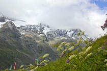 Nationalpark Hohe Tauern von der Großglockner Hochalpenstraße aus gesehen. Aufnahme: 6. August 2016.