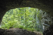 Pokljuka Ravine in Sloweien. Aufnahme: 3. August 2016.