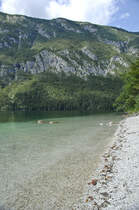 Der Bohinjsko jezero (deutsch: Wocheiner See, auch Bohinjsee)in Slowenien. Aufnahme: 2. August 2016.