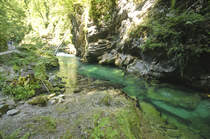 Die Vintgar-Klamm (slowenisch: Blejski Vintgar). Aufnahme: 2. August 2016.