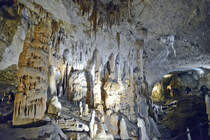 Die Höhlen von Postojna, slowenisch Postojnska jama (italienisch Grotte di Postumia, deutsch auch Adelsberger Grotte), eigentlich im ganzen Ausmaß Postojna-Höhlensystem (Postojnski jamski sistem), liegen in der Nähe der slowenischen Stadt Postojna. Datierungen der im Höhlensystem abgelagerten Sedimente ergaben ein Alter von bis zu 0,9 Millionen Jahren
Aufnahme: 27. Juli 2016.
