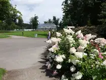 Barneveld, Schlosspark von Kasteel Jan van Schaffelaer (20.08.2016)