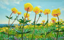  Trollblumenweite , Gemälde: Öl auf Baumwolle + Holz (-Rahmen), 2016, 94 x 148 cm; Blick von den Feuersteinwiesen bei Schierke auf Ostharzer Bergreihen...