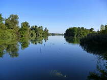 NSG Taubergie�en am Oberrhein, Sept.2016