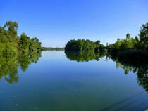 NSG Taubergie�en am Oberrhein, Sept.2016
