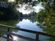 NSG Taubergie�en am Oberrhein, Sept.2016