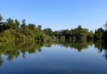 NSG Taubergie�en am Oberrhein, Sept.2016