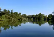 NSG Taubergie�en am Oberrhein, Sept.2016