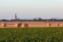 Kirche von Odendorf, abgeerntete Felder und das Siebengebirge als Hintergrund im Abendlicht - 16.08.2016