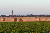 Kirche von Odendorf, abgeerntete Felder und das Siebengebirge als Hintergrund im Abendlicht - 16.08.2016