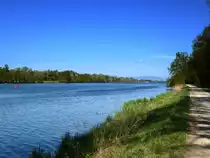 der Altrhein, s�dlich von Breisach, April 2017