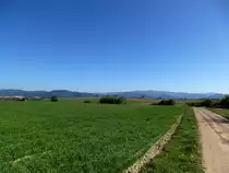 Blick vom Marchh�gel in der Rheinebene bei Buchheim auf den Hochschwarzwald, April 2017