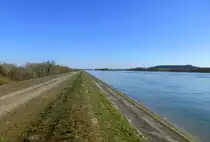 Blick vom Rheindamm flu�abw�rts, links am Horizont das E-Kraftwerk Marckolsheim, rechts auf der deutschen Seite der 272m hohe Limberg bei Sasbach/Kaiserstuhl, M�rz 2017