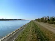 Blick flu�aufw�rts vom Rheindamm bei Marckolsheim/Elsa�, M�rz 2017