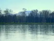 Teleblick vom Els��er Ufer �ber den Rhein zum 557m hohen Totenkopf, dem h�chsten Berg des Kaiserstuhles, M�rz 2017