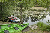 Seerosen auf dem Källtorpsjön im Stockholmer Naturschutzgebiet NAckareservatet. Die schönsten Seen von Schweden sind kristallklar, von unberührten Naturlandschaften umgeben und besitzen einen ungeheuren Fischreichtum.
Aufnahme: 27. July 2017.